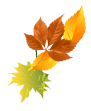 Fall-decoration-leaves-left