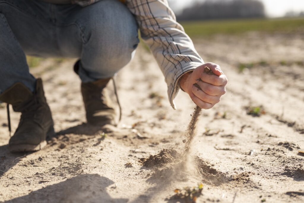 Křemičitý písek chrání úrodu před slimáky