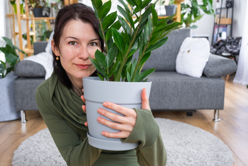 Zamiokulkas není jen krásná pokojová rostlina, ale také zelený filtr pro váš domov 