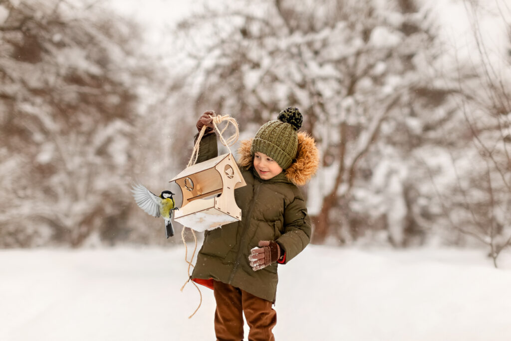 Zimní krmení ptáků: Jak a čím krmit ptáky + Nápady na DIY pochoutky i krmítka