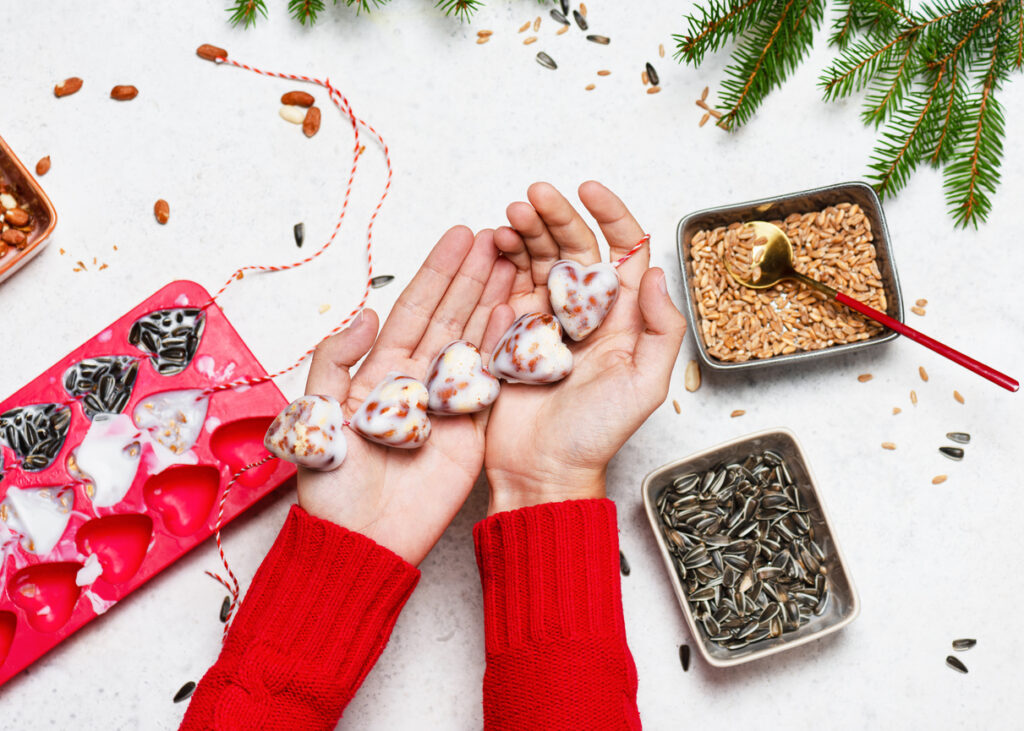 Zimní krmení ptáků: DIY pochoutky